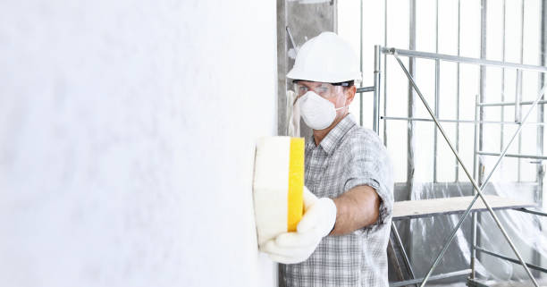 Why You Should Choose Our Mold Remediation Services in Wickliffe, OH