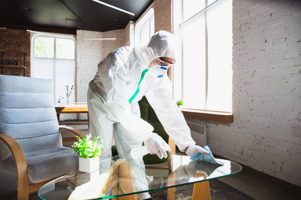 Professional Mold Removal in Wickliffe, OH